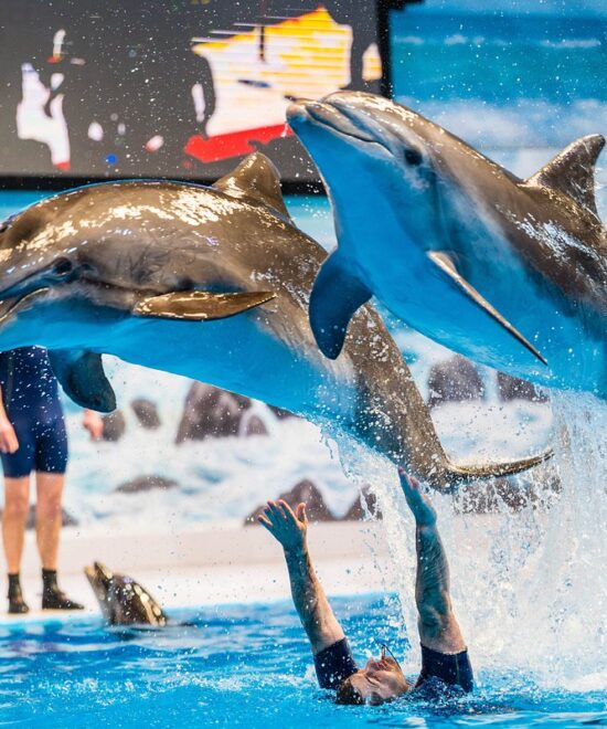 Dubai Dolphinarium